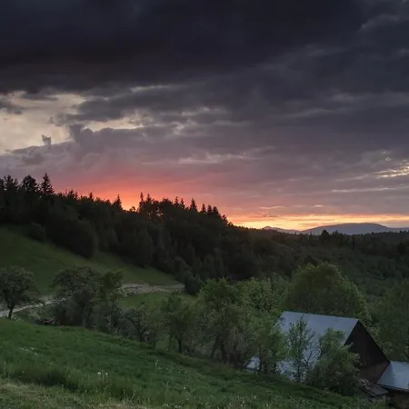 2 W Gorach Ferienhaus *